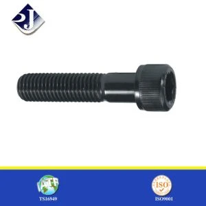 Mua sắm trực tuyến Đánh giá hàng đầu Socket Head Cap Screw, Allen Screw Từ Nhà máy Trung Quốc