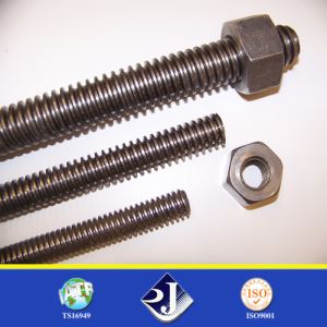 Được đánh giá cao trực tuyến Carbon thép M3-M50 Grade4.8 / Grade8.8 / Grade10.9 / Grade12.9 DIN975 ren que